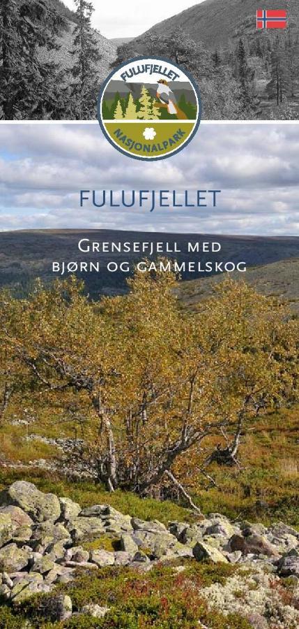 Fulufjellet Nationalpark - Of Nature And Peace Ljordalen