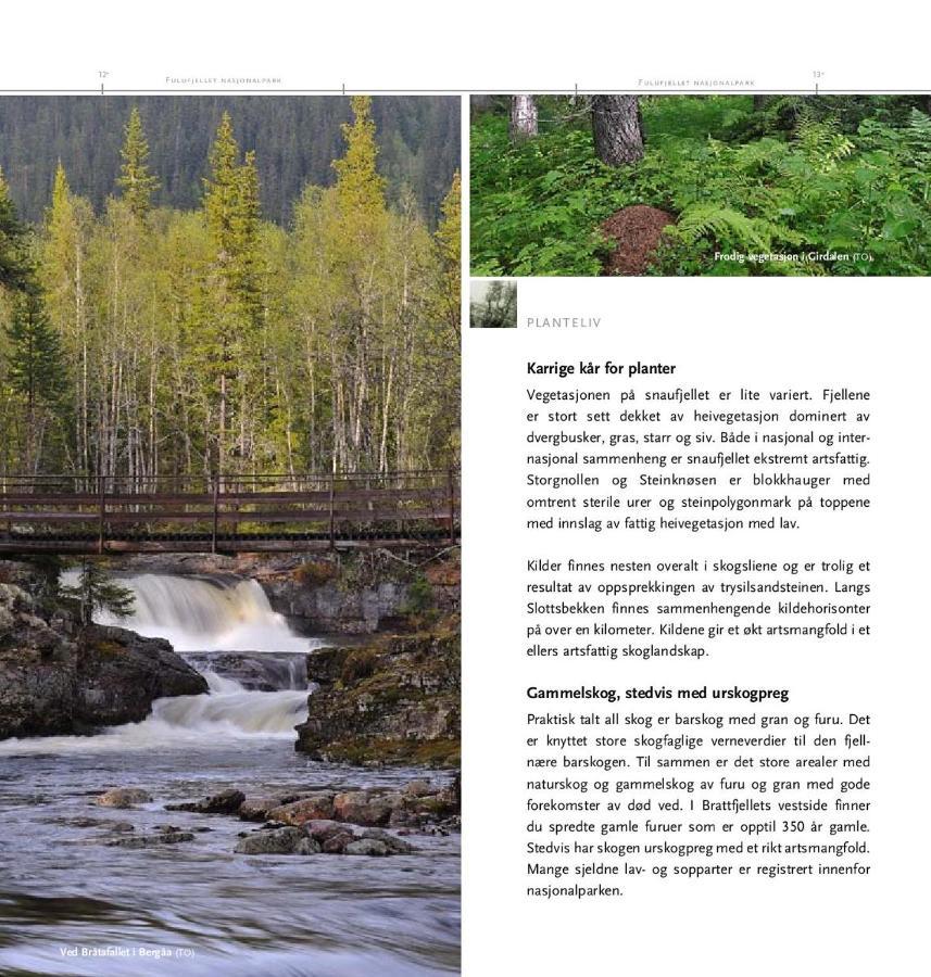 Fulufjellet Nationalpark - Of Nature And Peace * Ljordalen