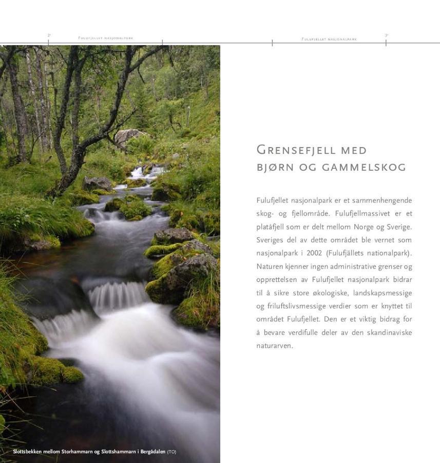 Holiday home Fulufjellet Nationalpark - Of Nature And Peace Ljordalen