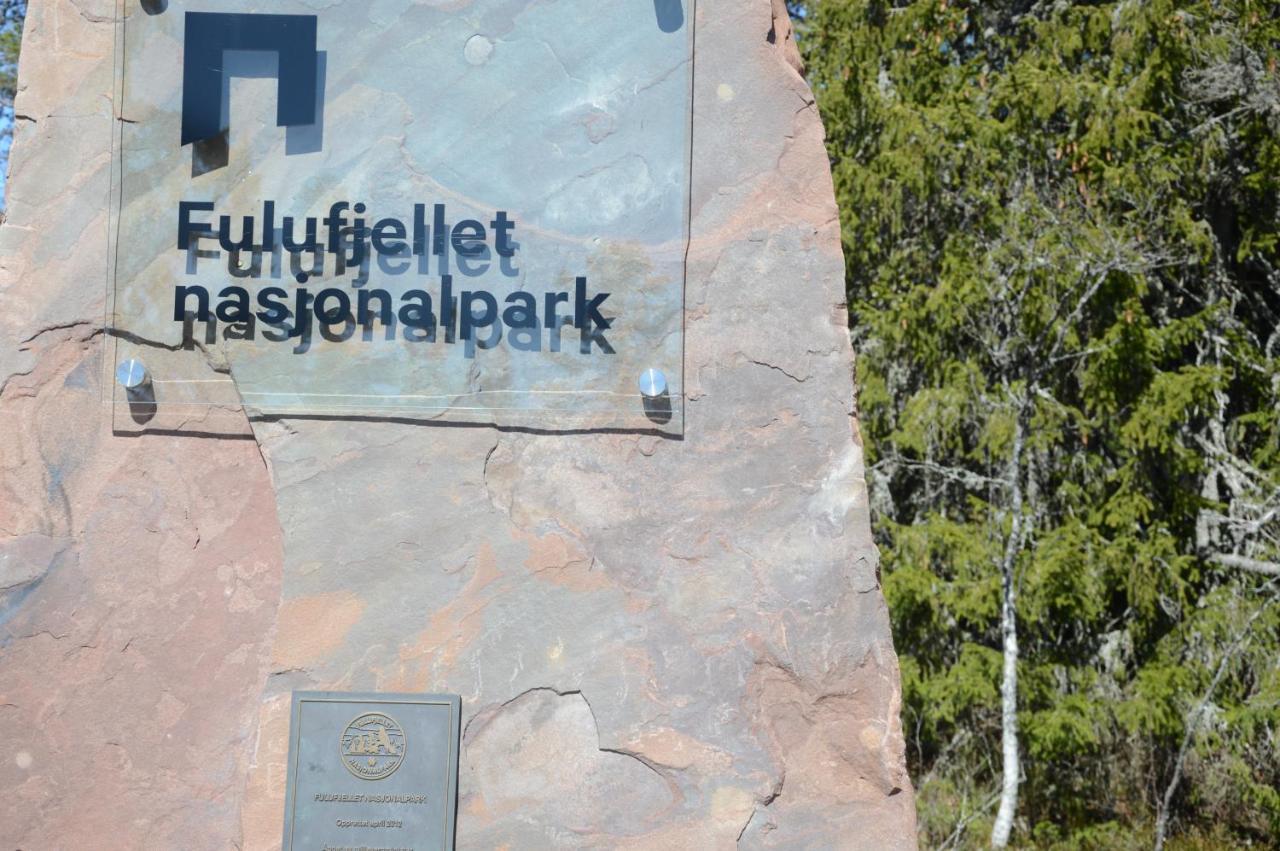 Fulufjellet Nationalpark - Of Nature And Peace * Ljordalen