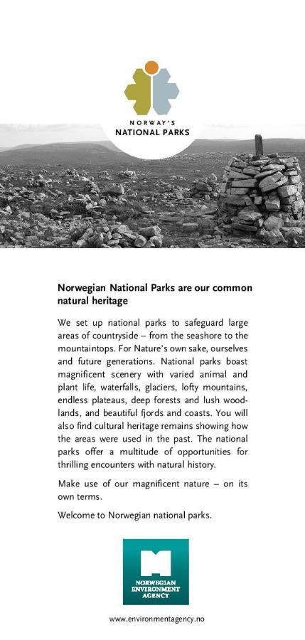 Fulufjellet Nationalpark - Of Nature And Peace Ljordalen