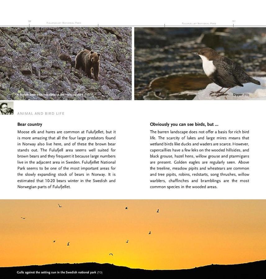 Holiday home Fulufjellet Nationalpark - Of Nature And Peace Ljordalen