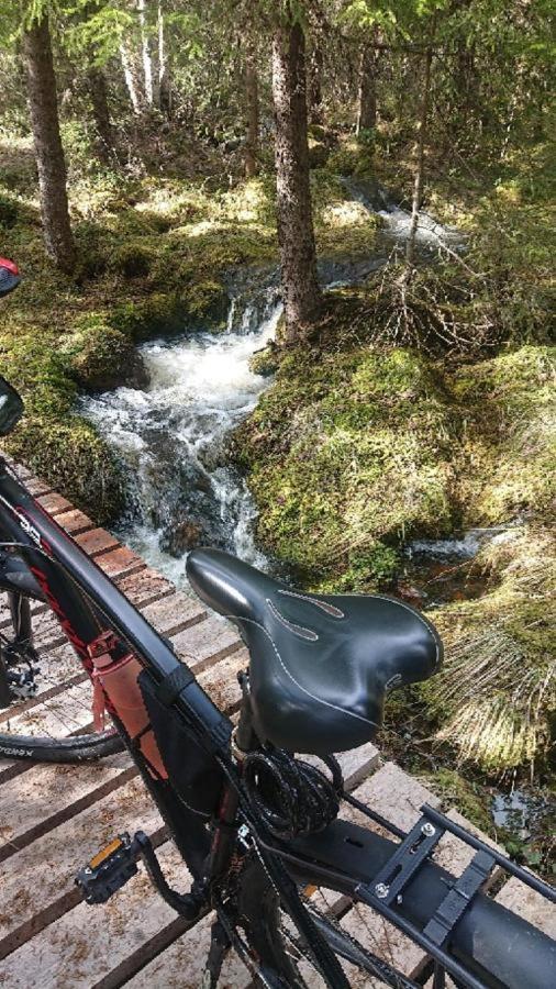 Fulufjellet Nationalpark - Of Nature And Peace Ljordalen