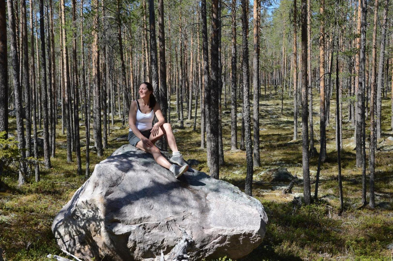 Fulufjellet Nationalpark - Of Nature And Peace Holiday home