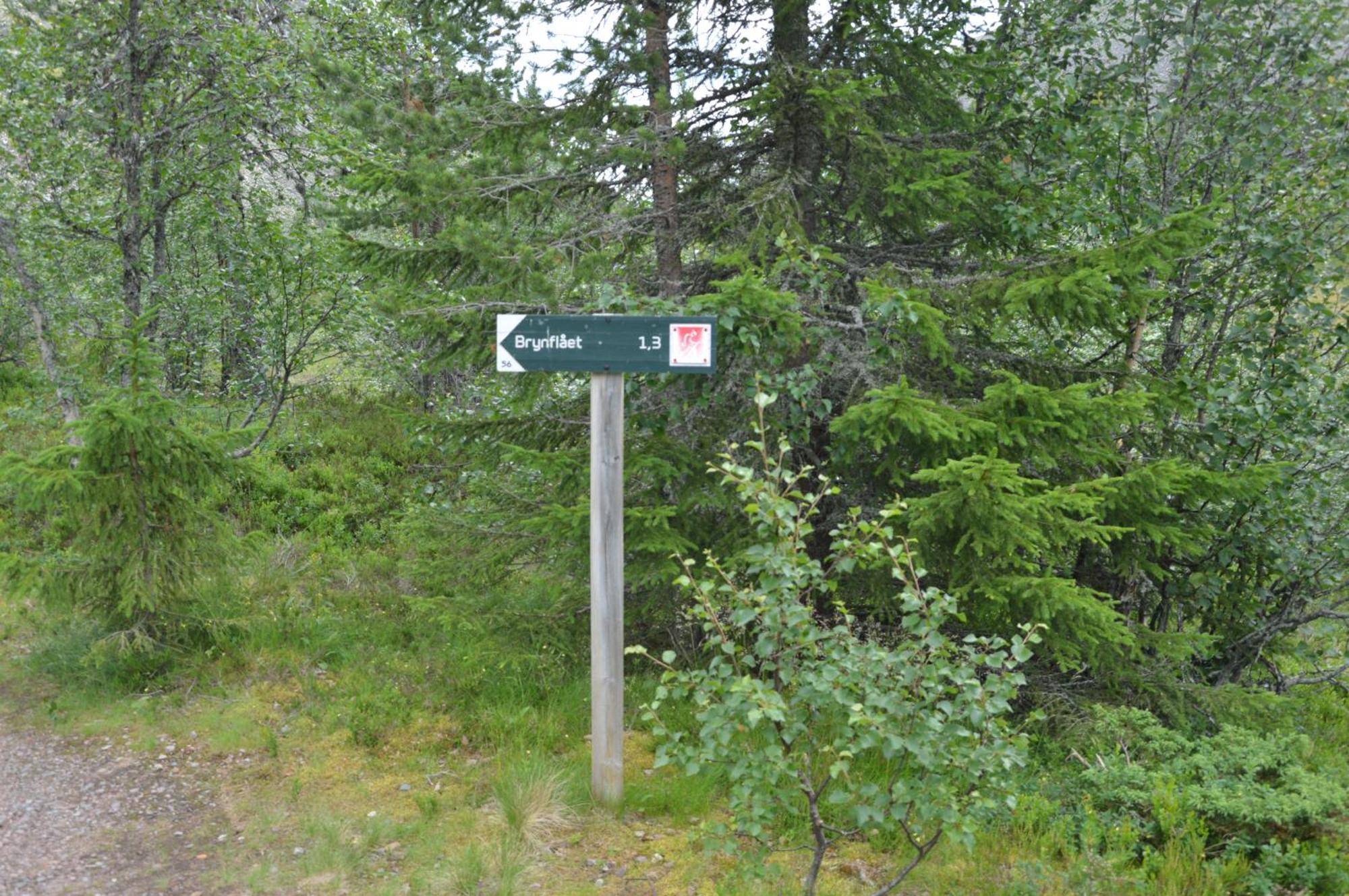 Fulufjellet Nationalpark - Of Nature And Peace Holiday home *