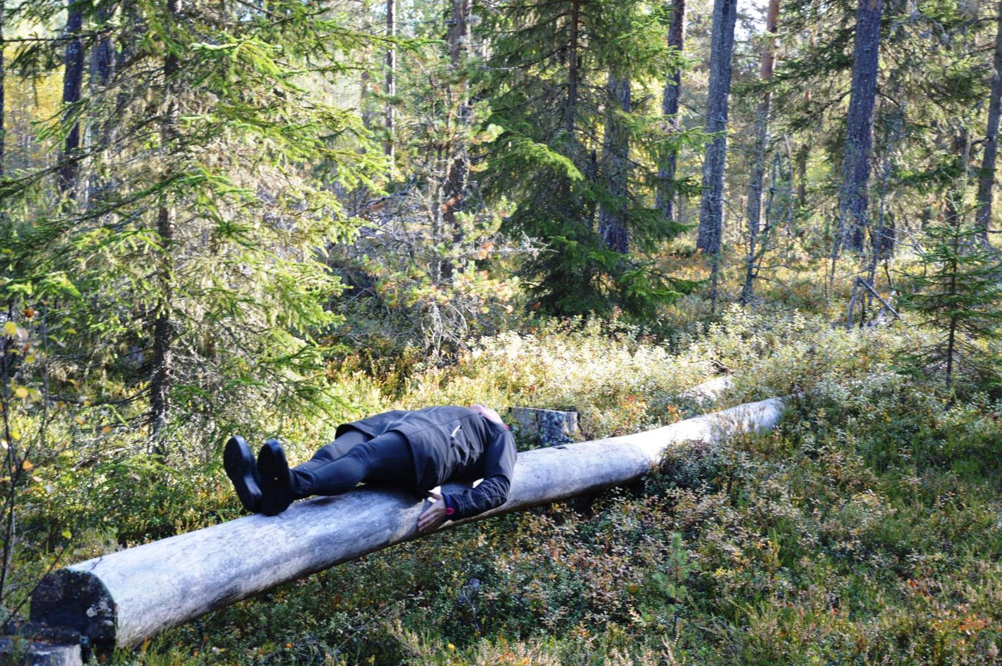 Fulufjellet Nationalpark - Of Nature And Peace Holiday home Ljordalen