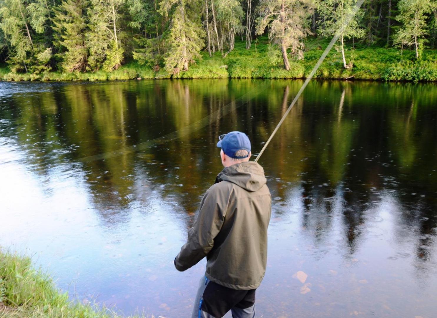 Fulufjellet Nationalpark - Of Nature And Peace * Ljordalen