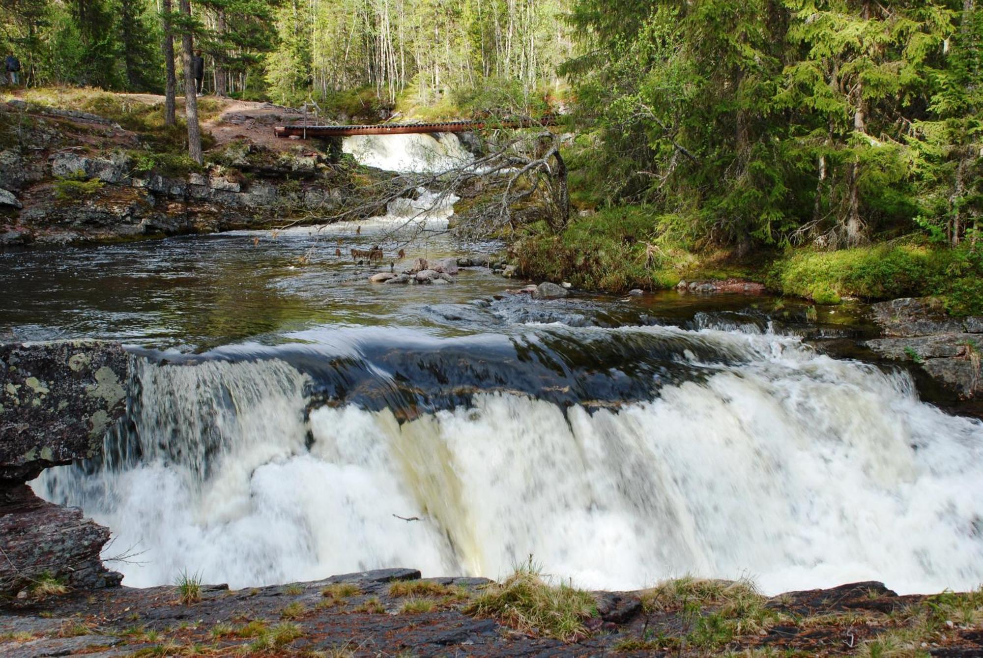 Fulufjellet Nationalpark - Of Nature And Peace Holiday home Ljordalen