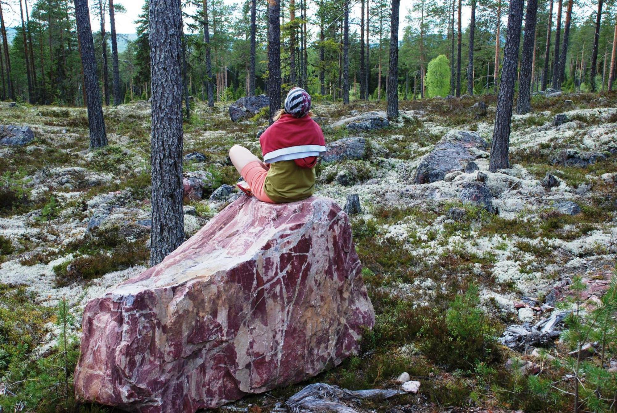 Fulufjellet Nationalpark - Of Nature And Peace Ljordalen