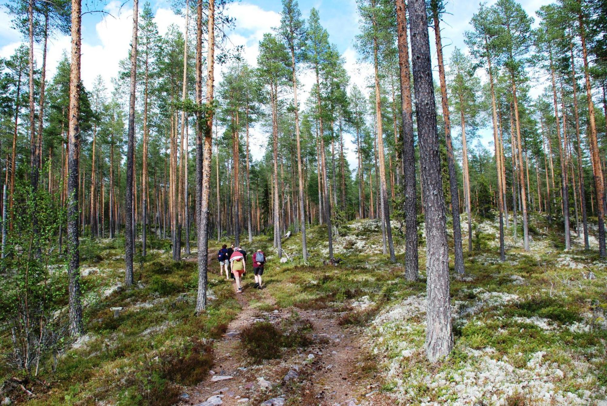Holiday home Fulufjellet Nationalpark - Of Nature And Peace Ljordalen